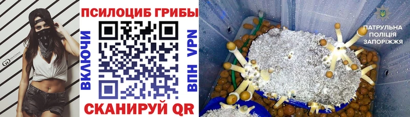 Галлюциногенные грибы мицелий  Геленджик 