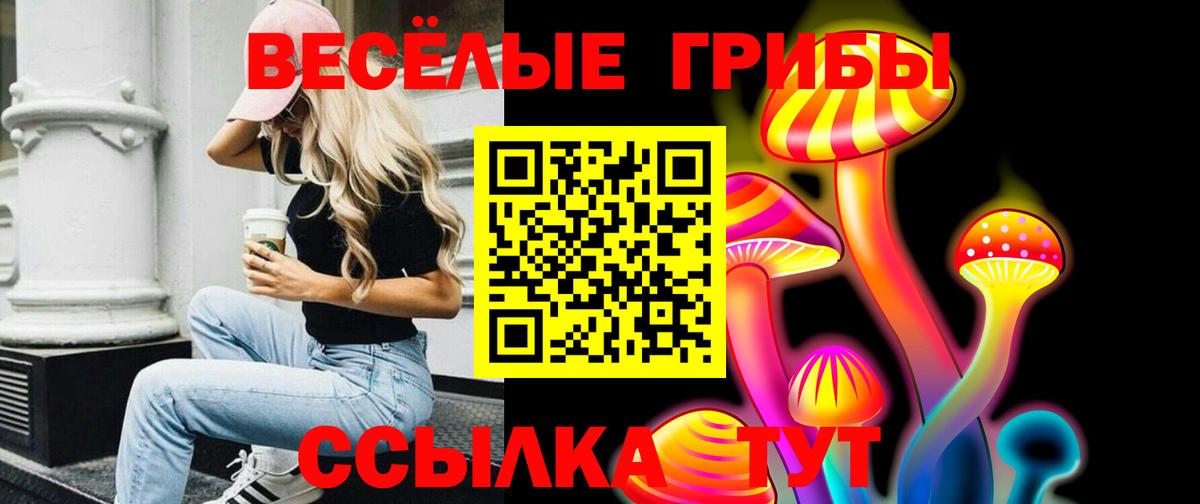 Псилоцибиновые грибы MAGIC MUSHROOMS Геленджик